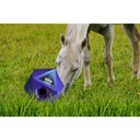 Maximus Feed & Play
