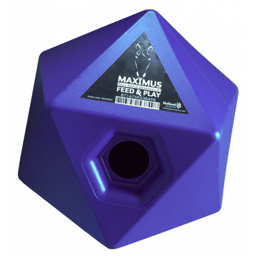 Maximus Feed & Play