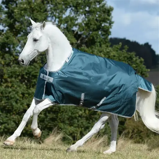 Atlantic paardendeken